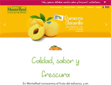 Tablet Screenshot of montereal.com.mx